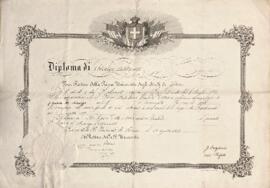 Medicina e Medicina e chirurgia - Attestati di ammissione e diplomi di laurea